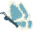 bluesky butterfly